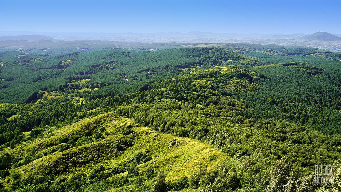 精品人妻系列无码人妻免费视频