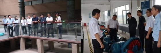 2407043.jpg 精品人妻系列无码人妻免费视频