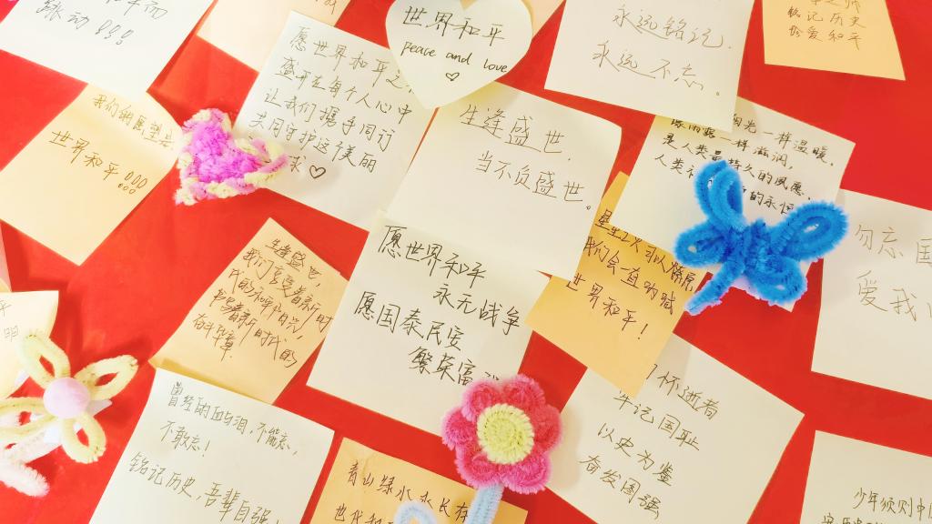 精品人妻系列无码人妻免费视频