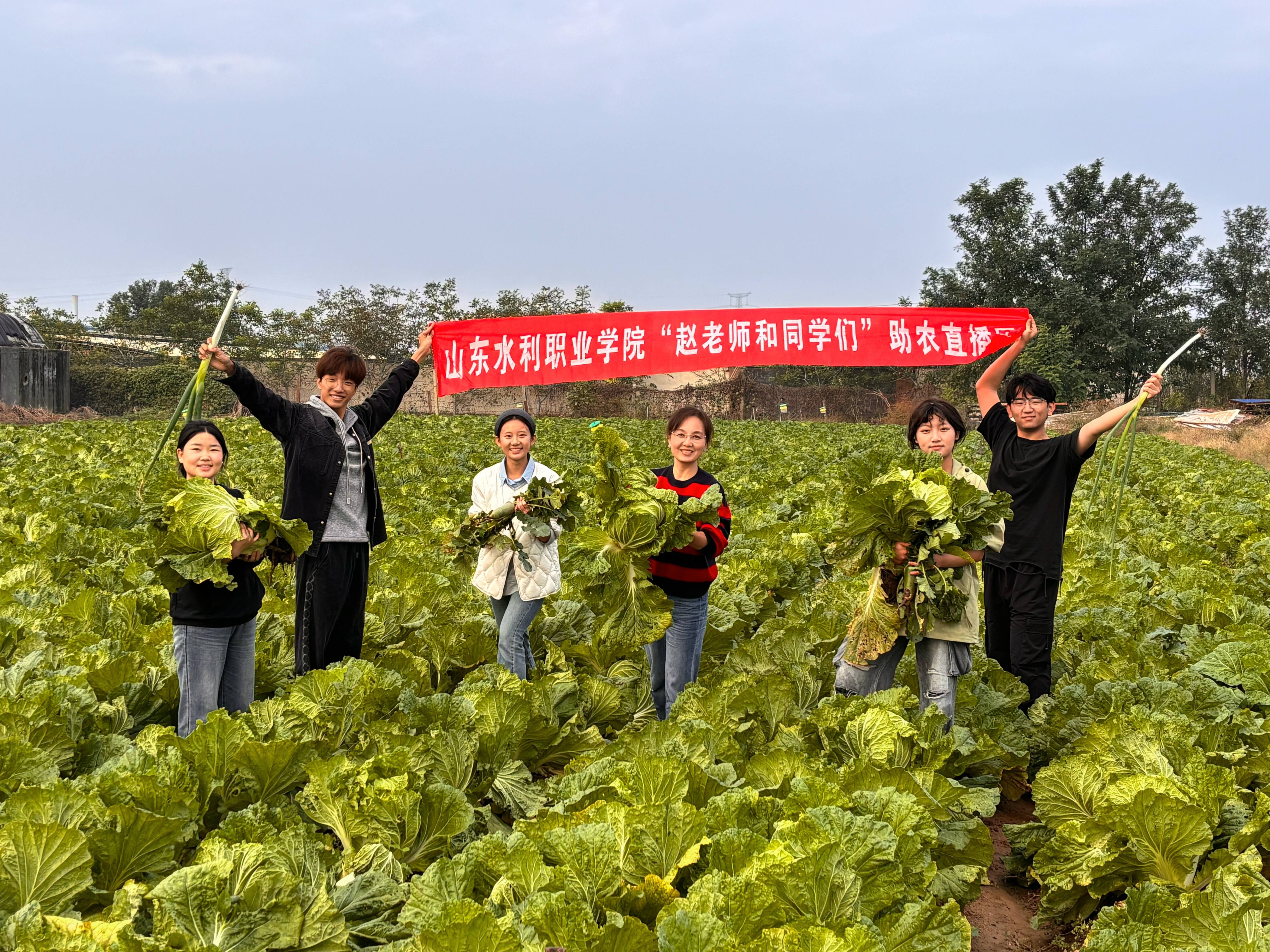 精品人妻系列无码人妻免费视频