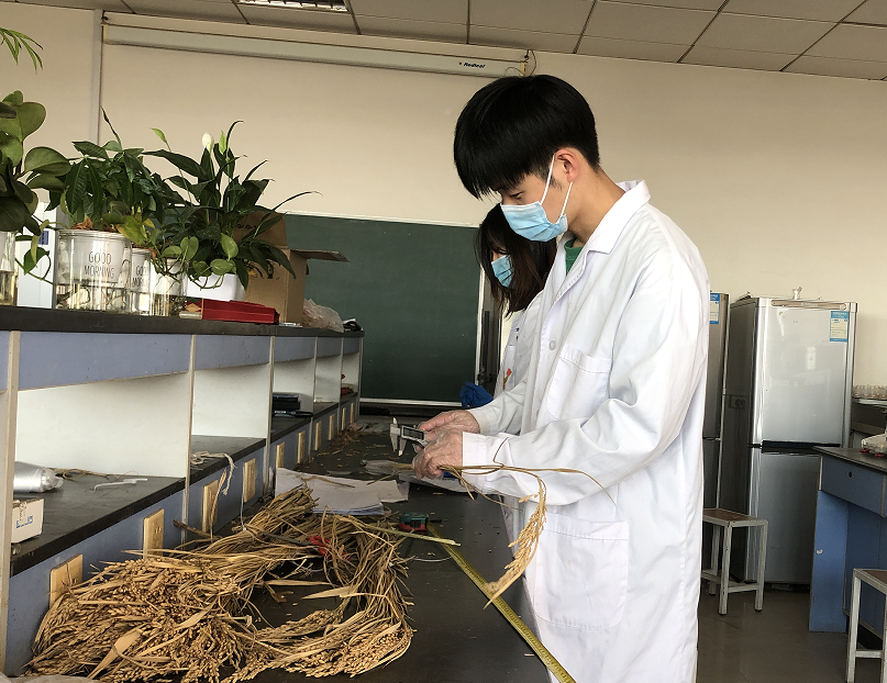 精品人妻系列无码人妻免费视频