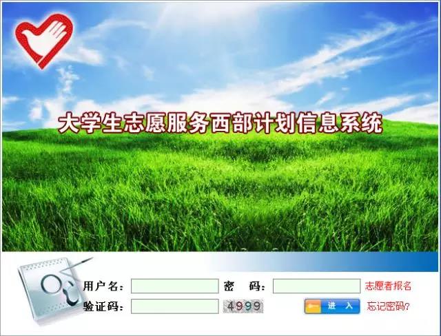 精品人妻系列无码人妻免费视频