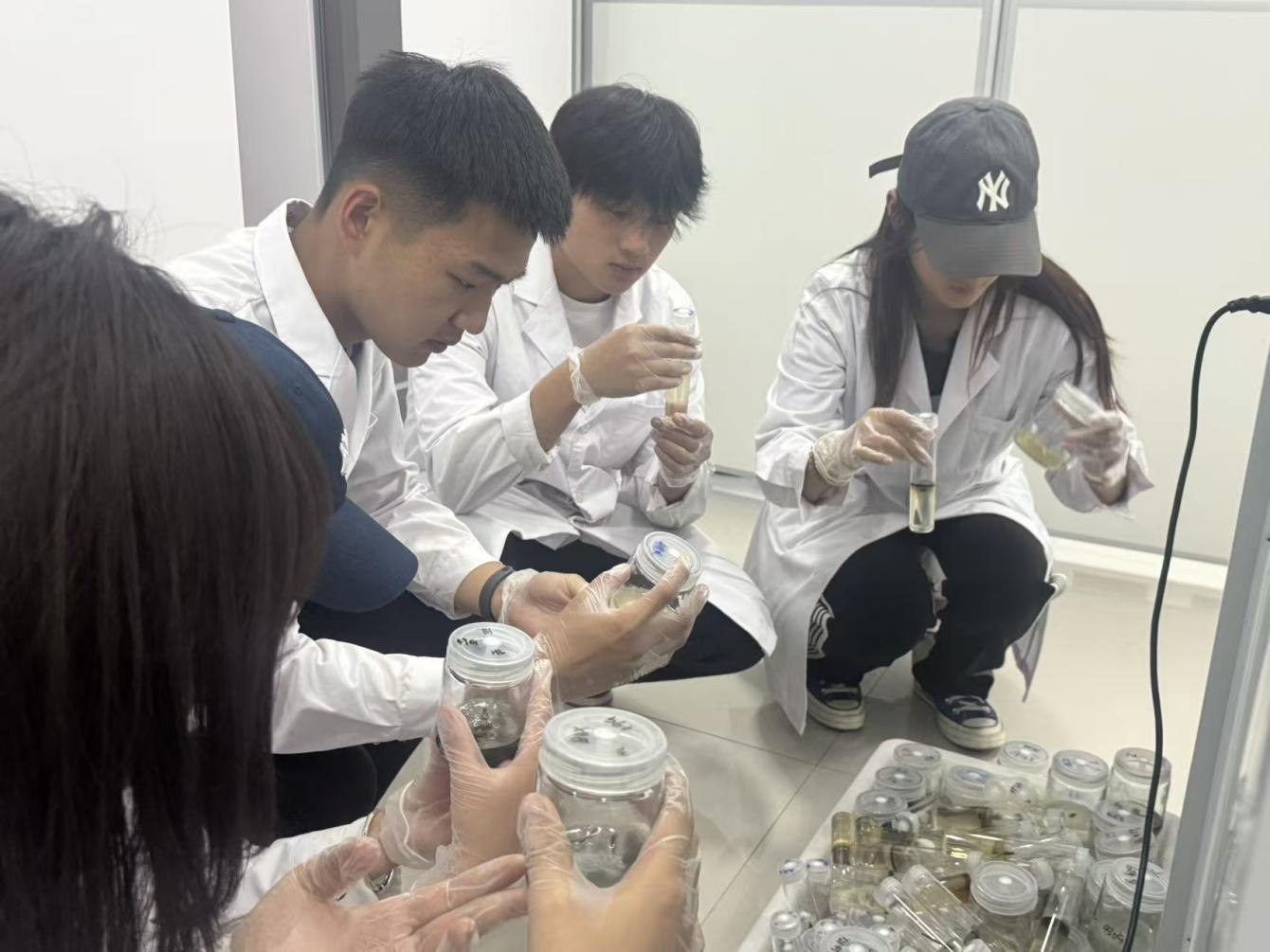 精品人妻系列无码人妻免费视频