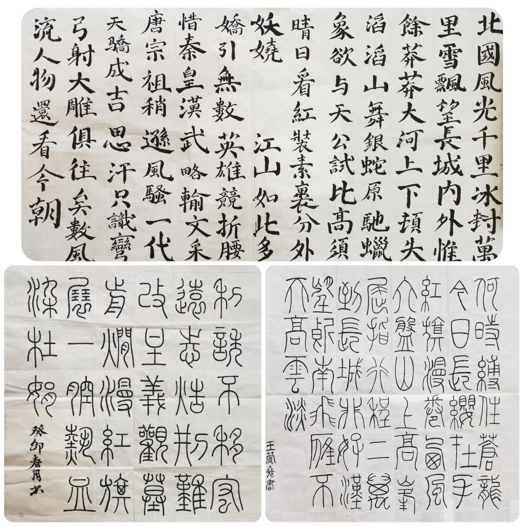 精品人妻系列无码人妻免费视频
