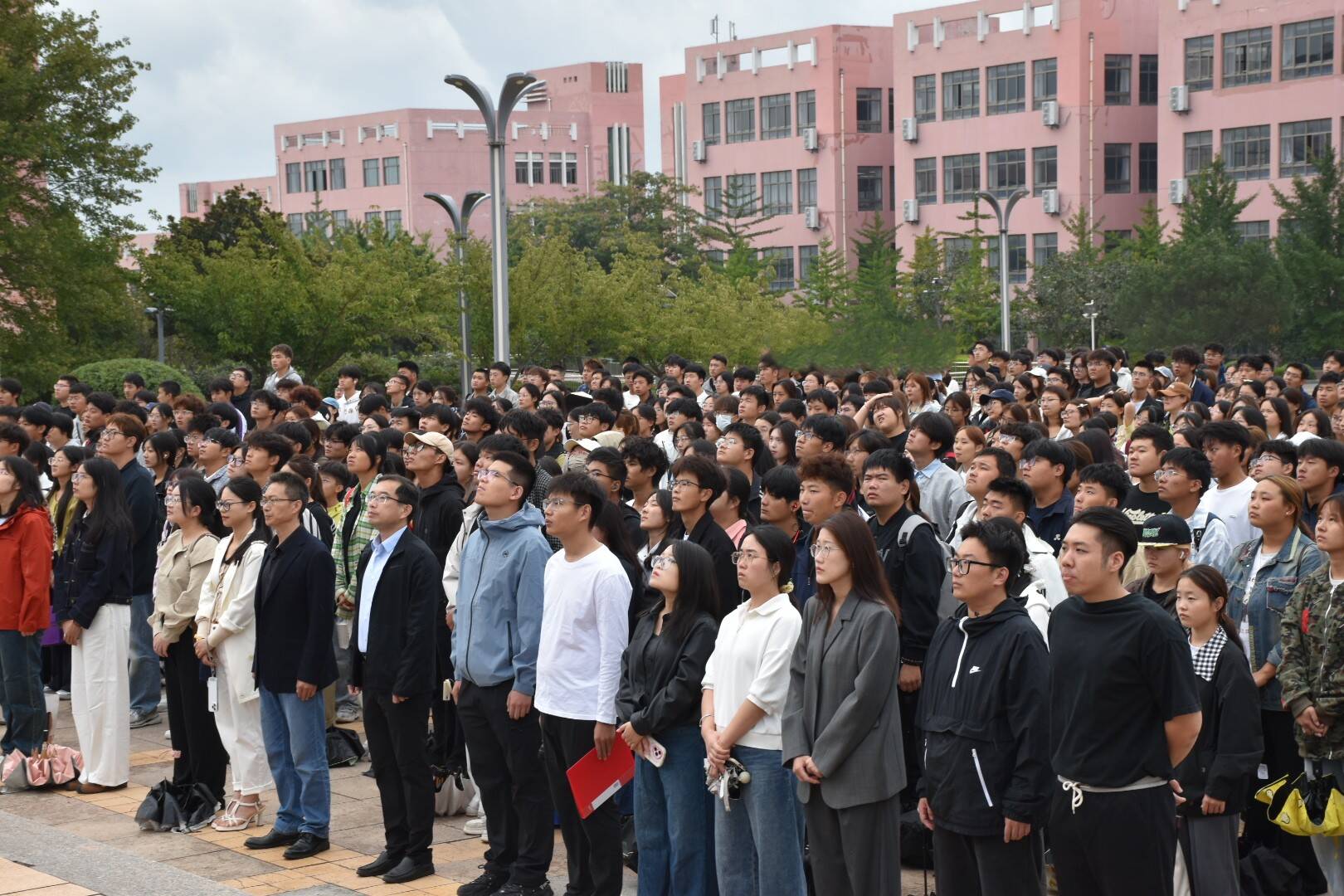 精品人妻系列无码人妻免费视频