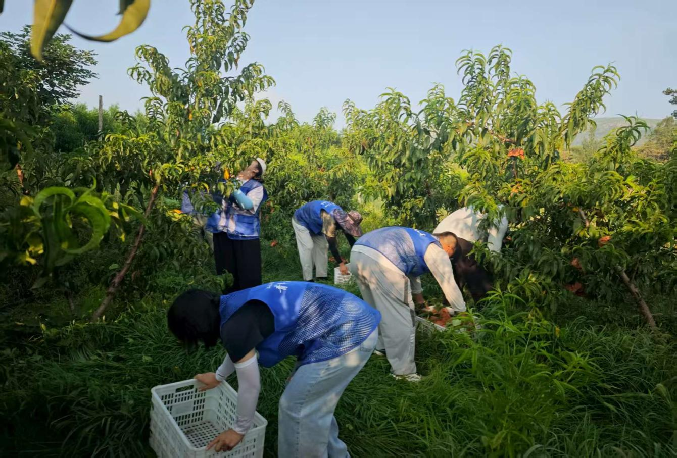 精品人妻系列无码人妻免费视频