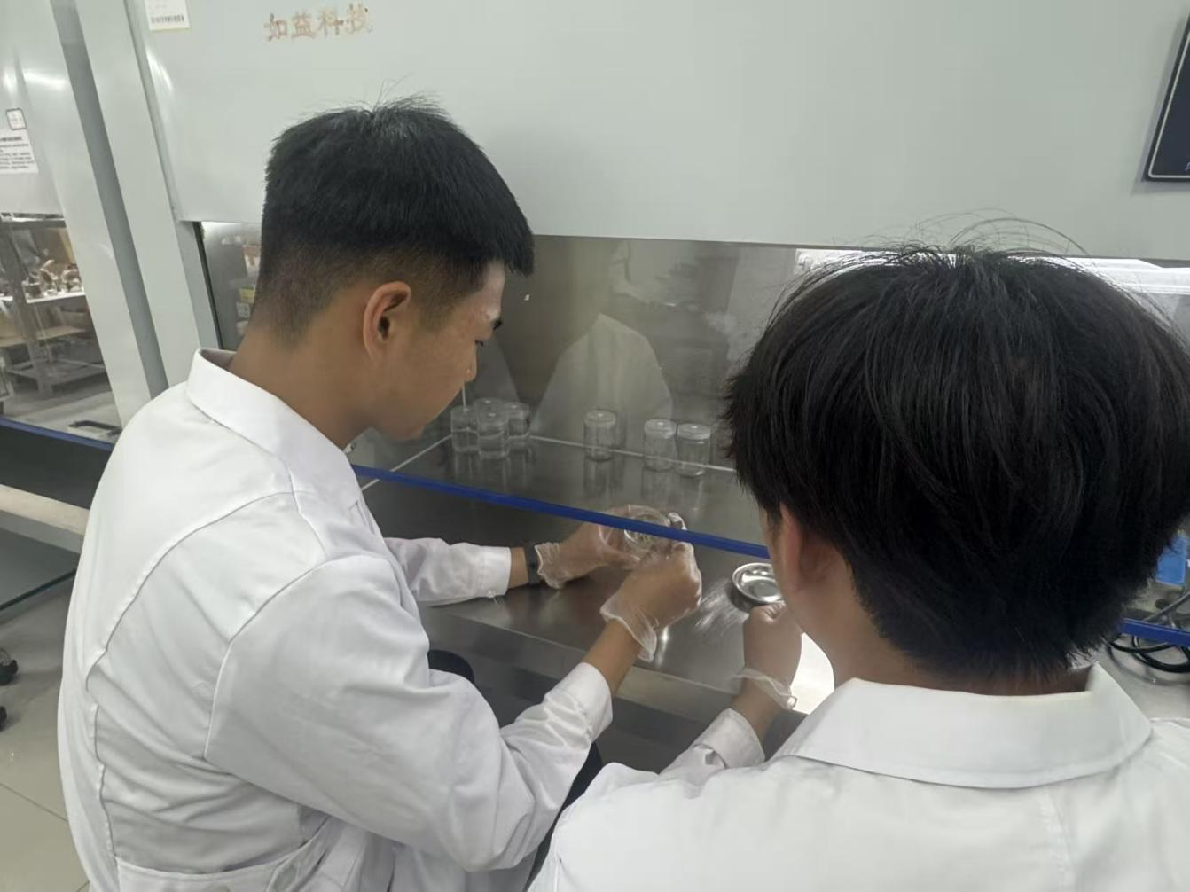 精品人妻系列无码人妻免费视频