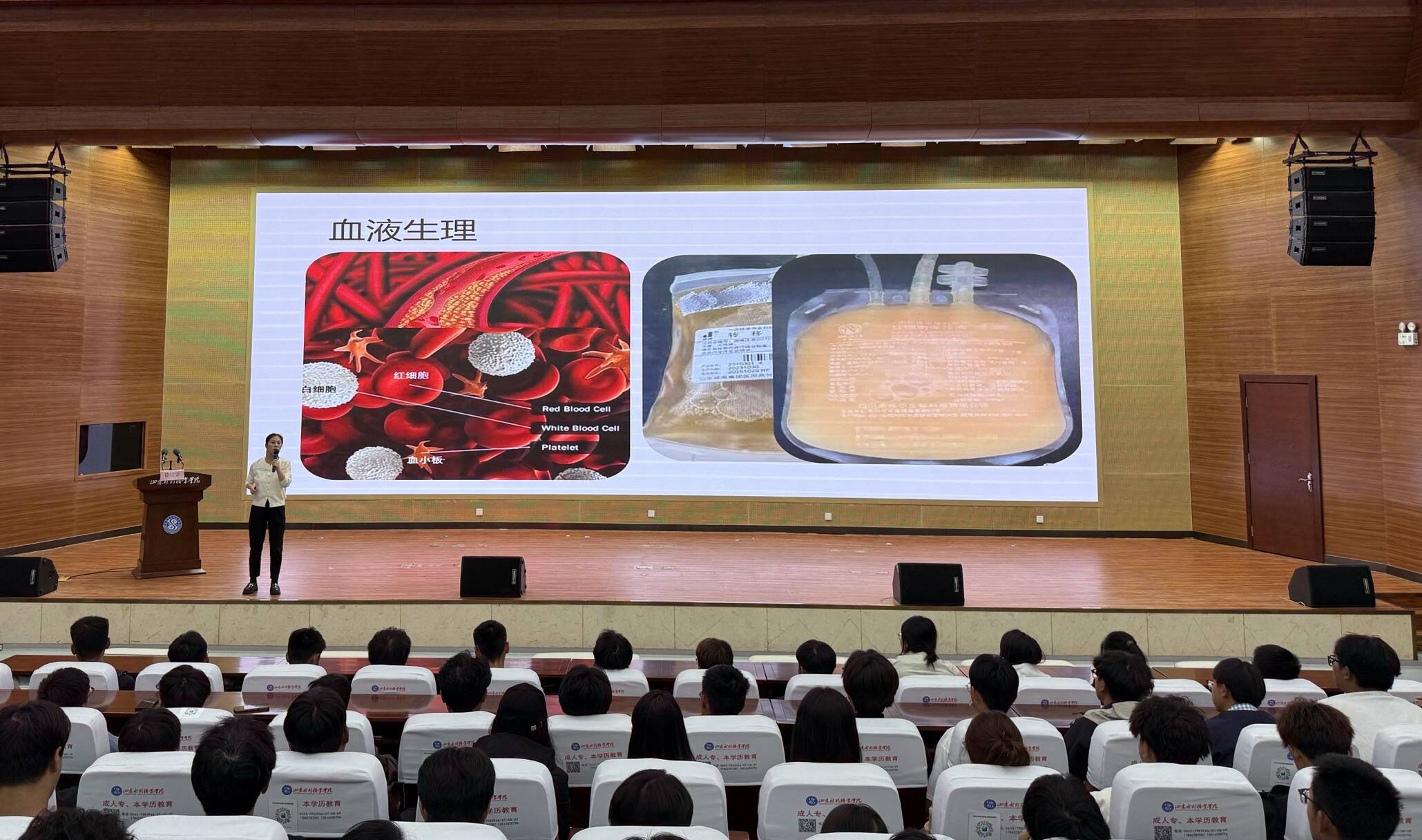精品人妻系列无码人妻免费视频
