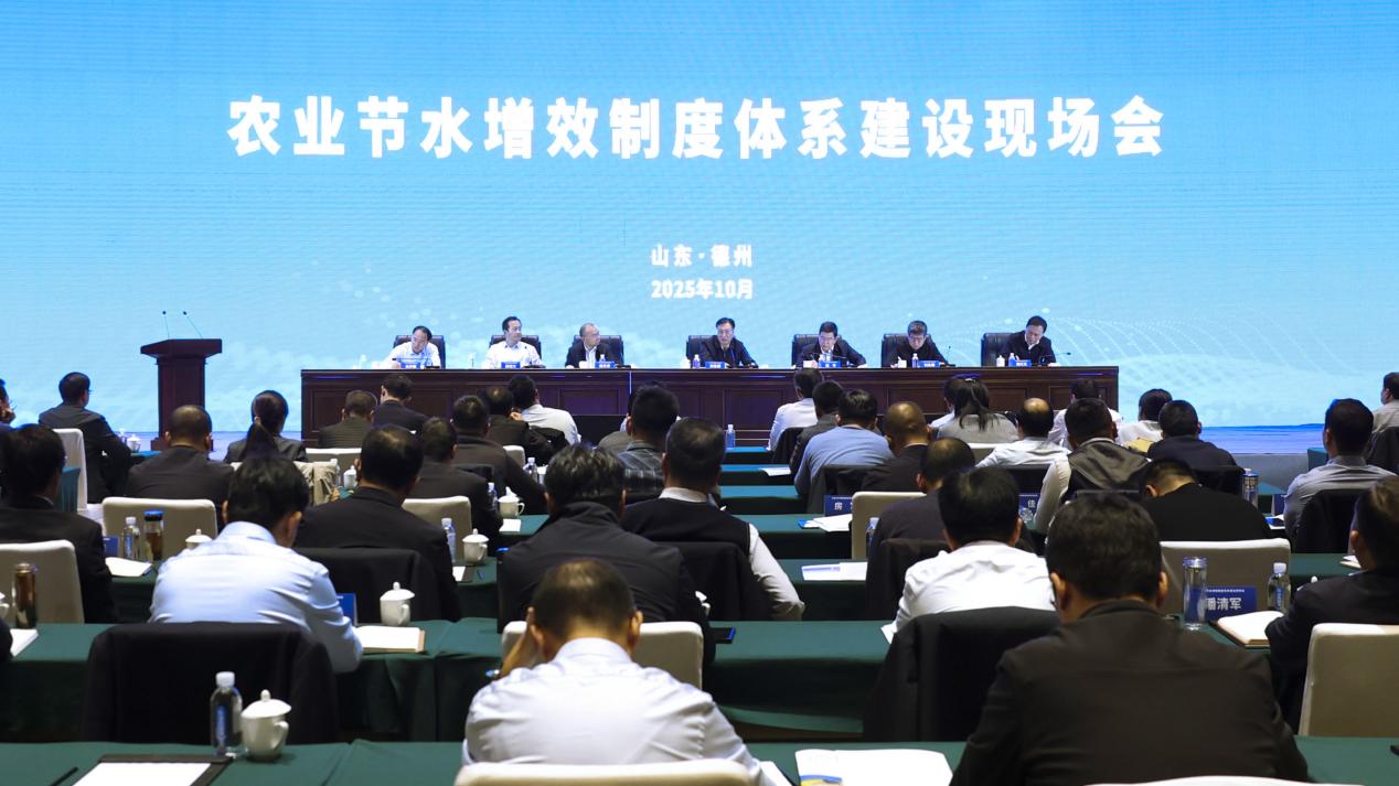 精品人妻系列无码人妻免费视频