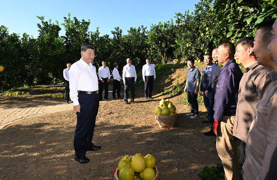精品人妻系列无码人妻免费视频