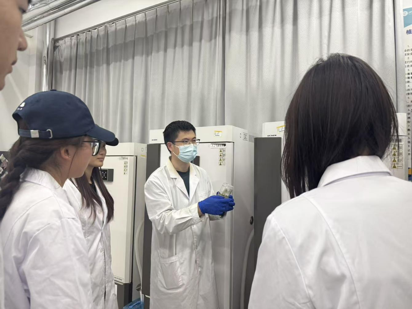 精品人妻系列无码人妻免费视频