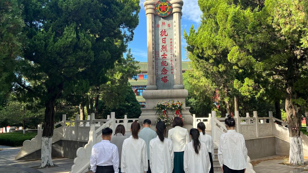 精品人妻系列无码人妻免费视频