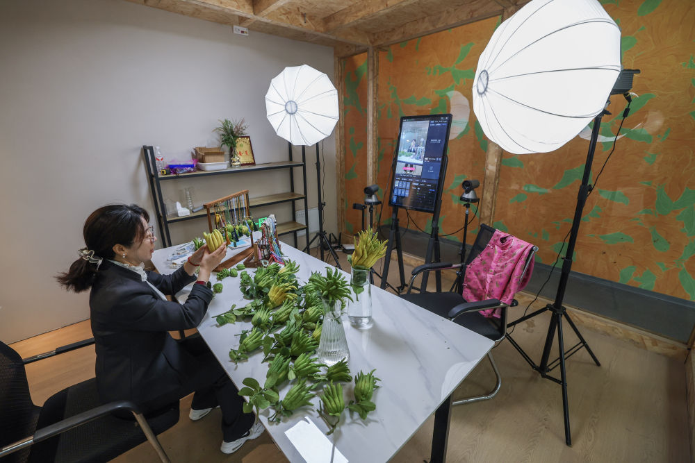 精品人妻系列无码人妻免费视频