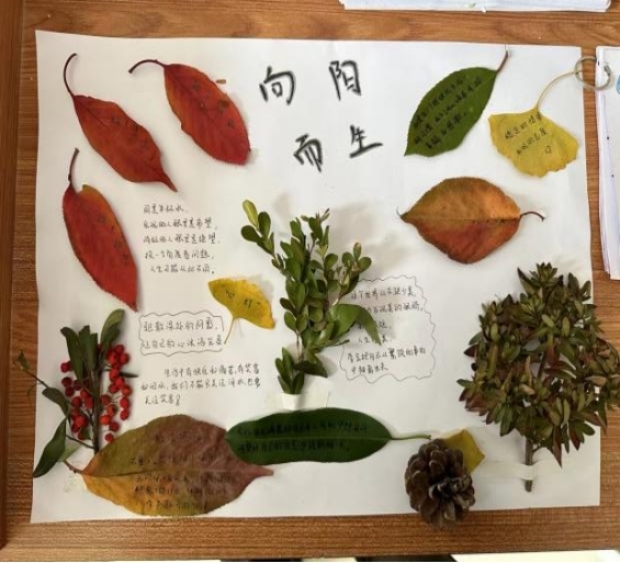 精品人妻系列无码人妻免费视频